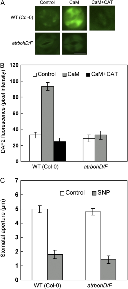 Figure 6.