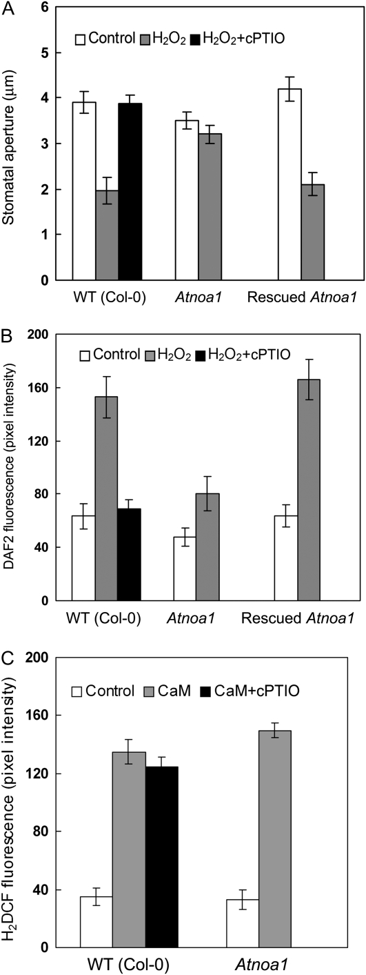 Figure 7.