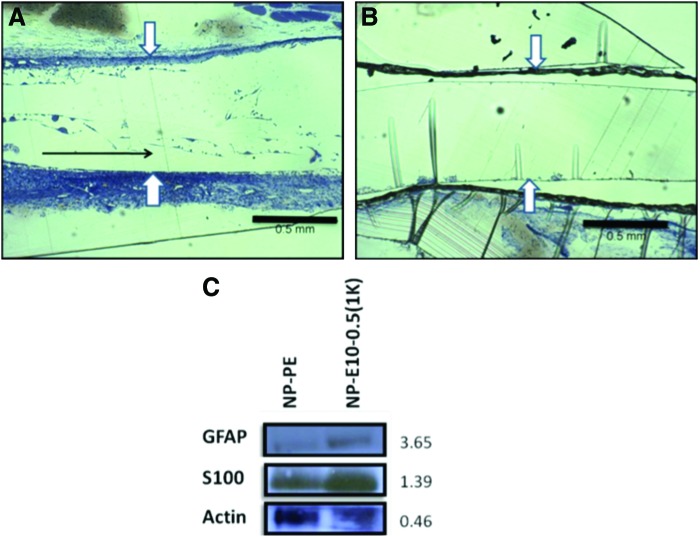 FIG. 8.