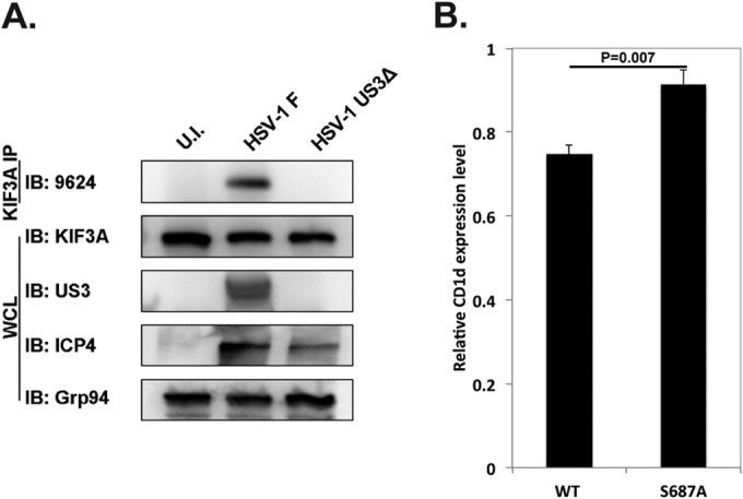 FIG 5