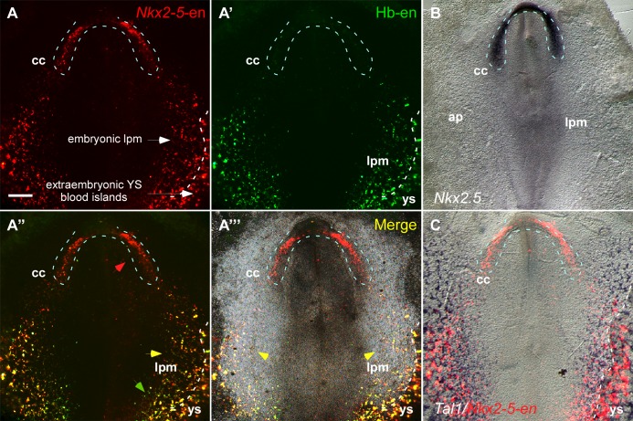 Figure 3.