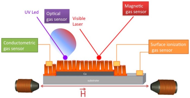 Figure 13