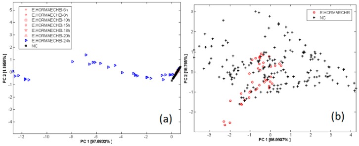 Figure 17