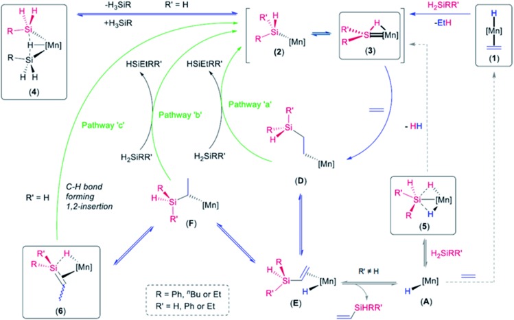 Scheme 8