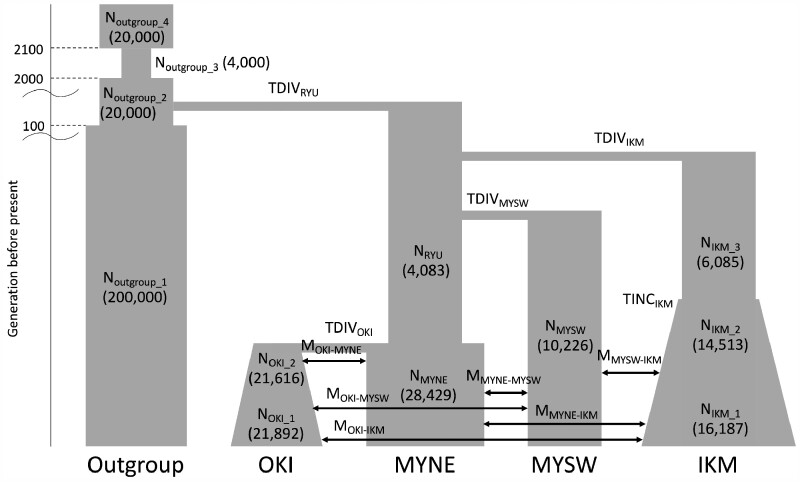 Fig. 8.