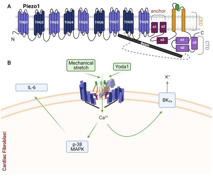 Figure 5