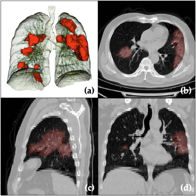 Fig. 9