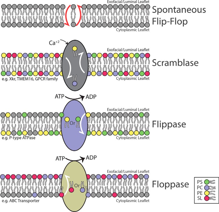 Figure 4.