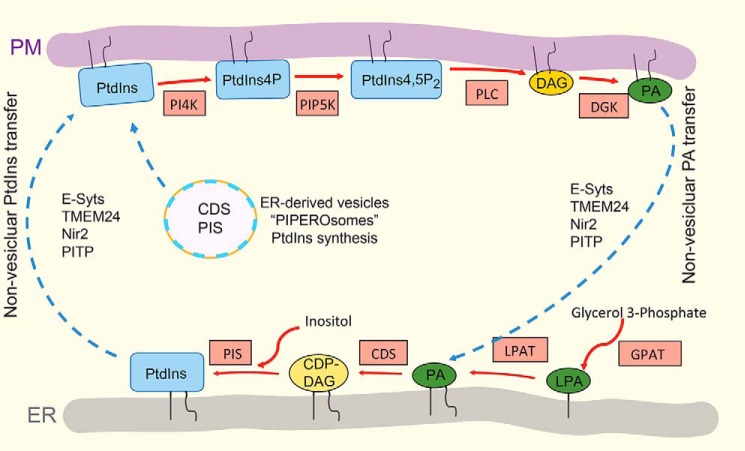 Figure 3.