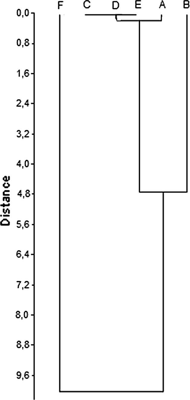 Fig. 6