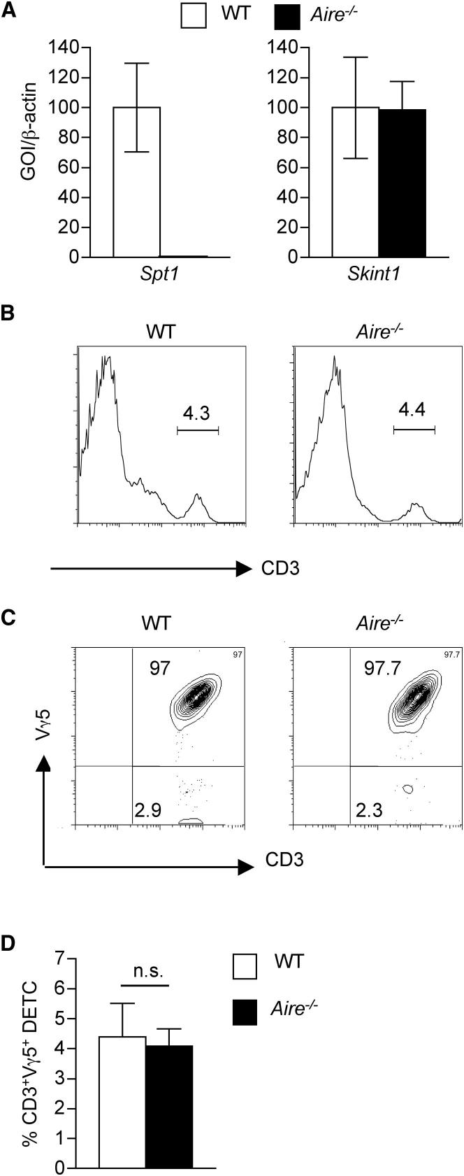 Figure 7