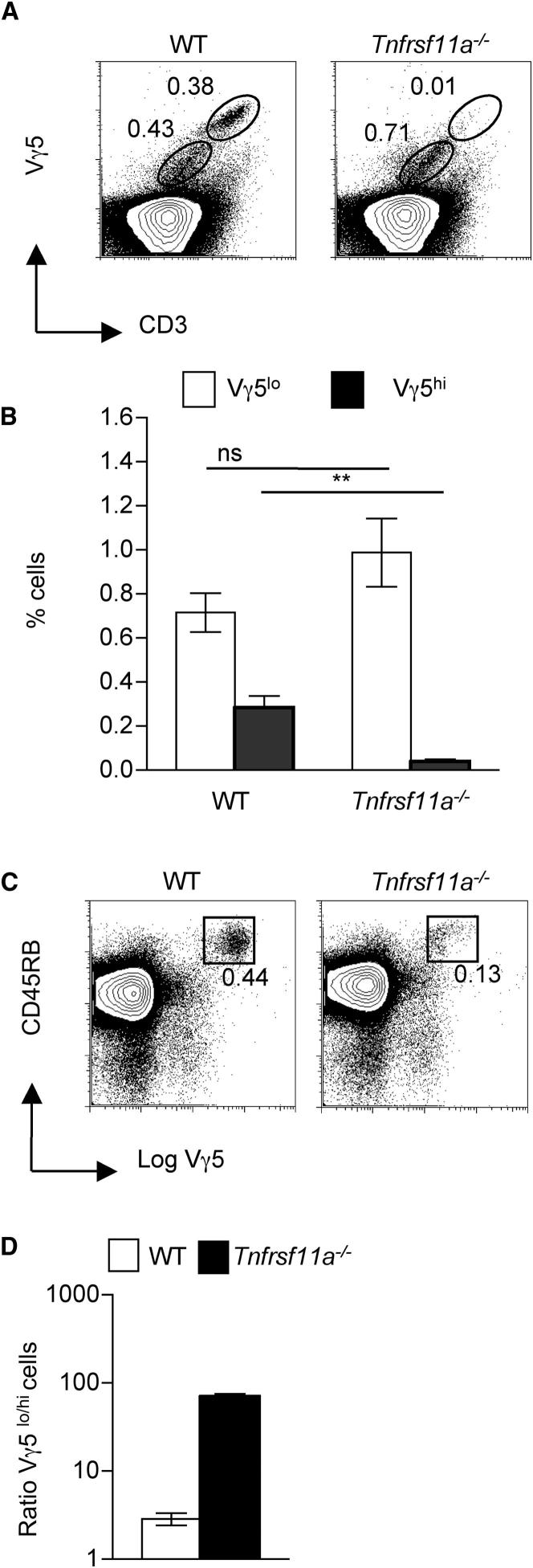 Figure 5