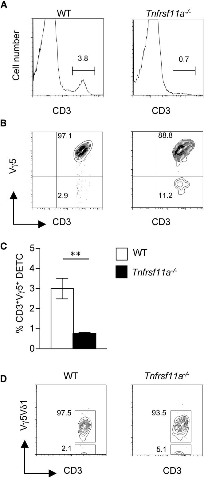 Figure 6