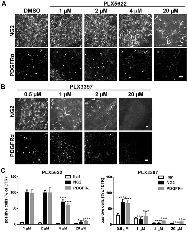 Fig.2