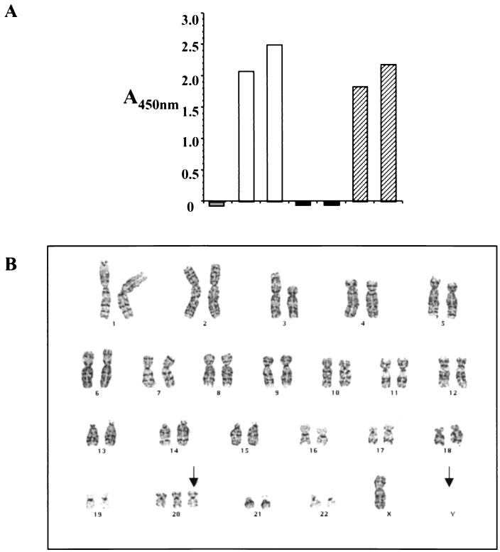 FIG. 1.