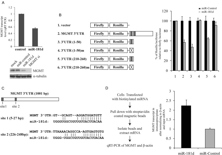 Fig. 2.