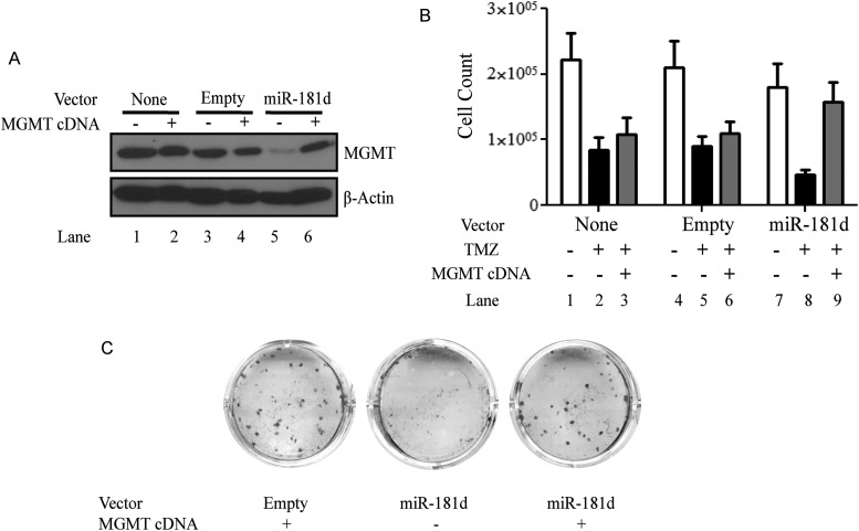 Fig. 4.