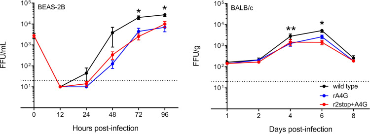 FIG 6