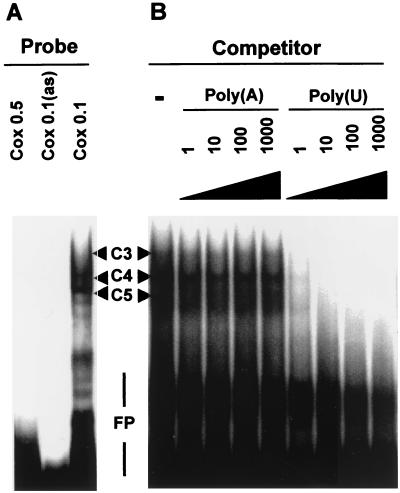 FIG. 7