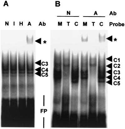 FIG. 8