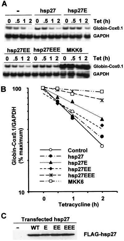 FIG. 6