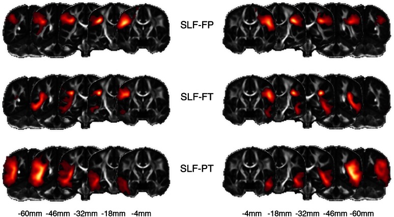 Fig. 3