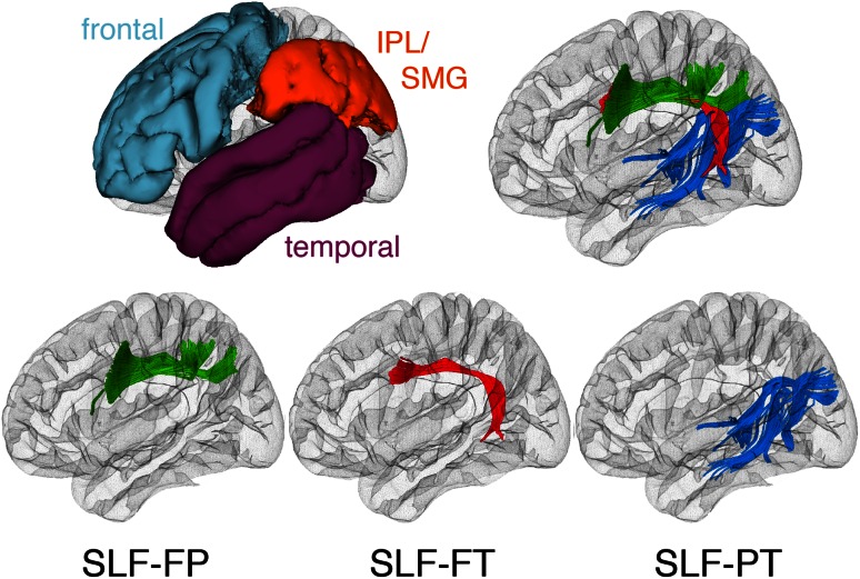 Fig. 2