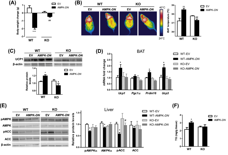 Figure 6