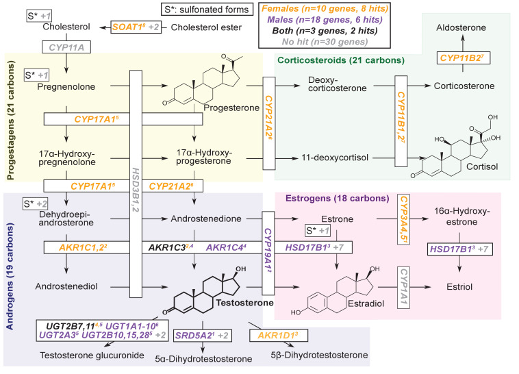 Figure 6.