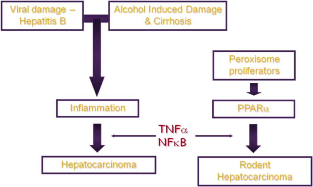 Fig 2: