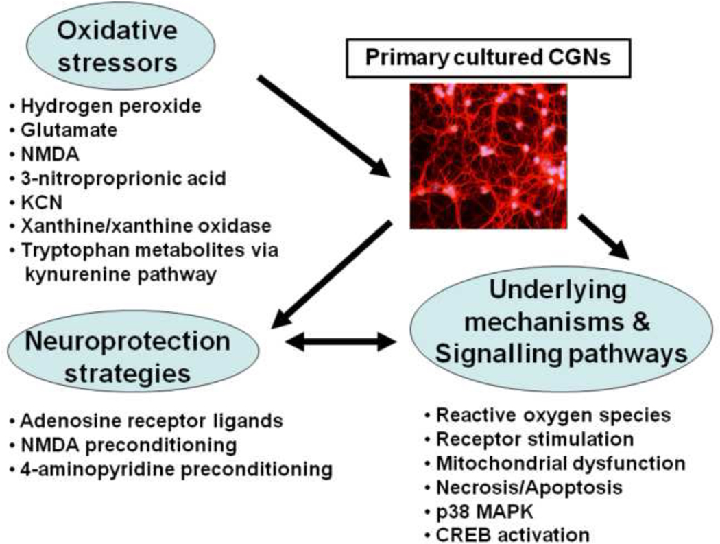 Figure 3: