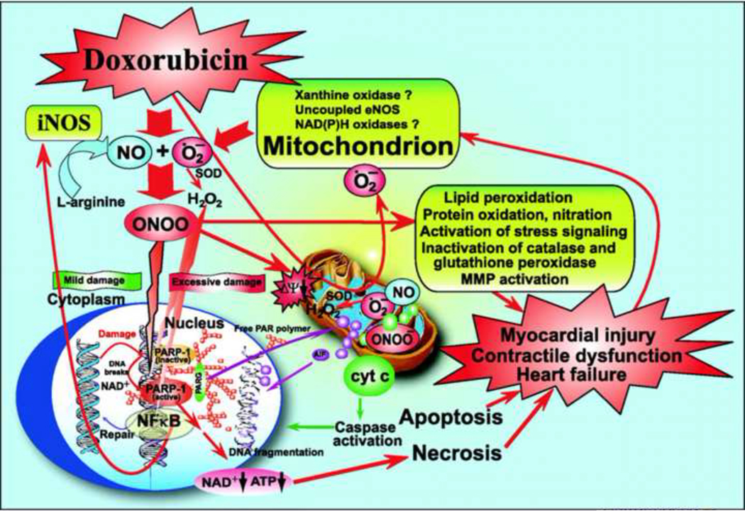 Figure 6: