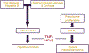 Fig 2: