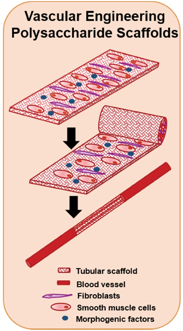 Figure 8