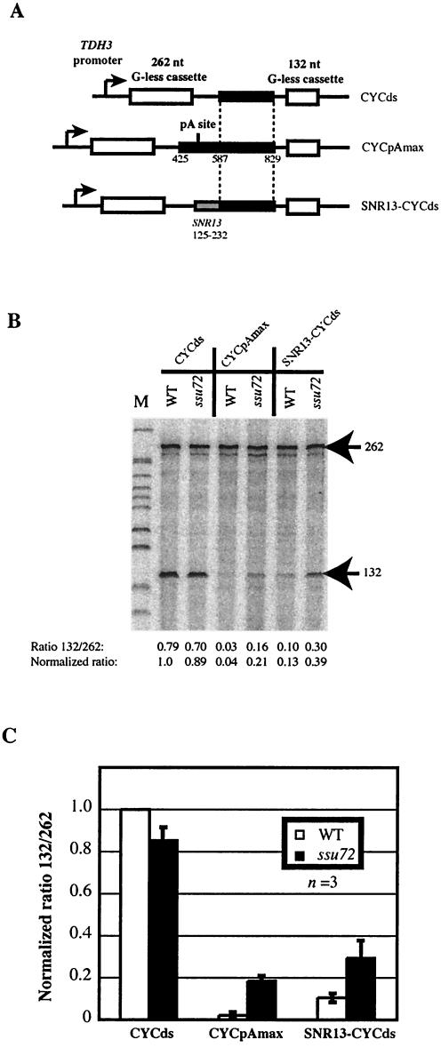 FIG. 5.