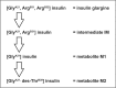 Figure 3.