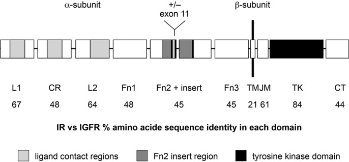 Figure 1. 