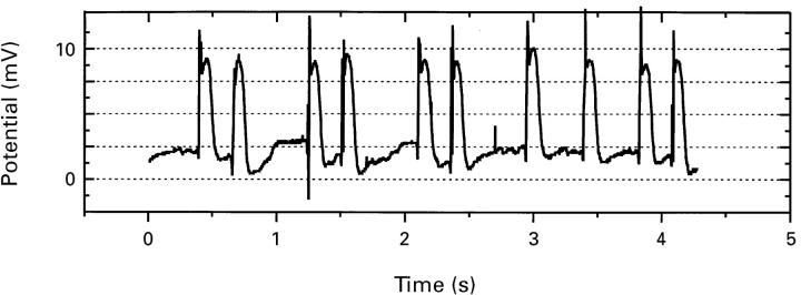 Figure 4  