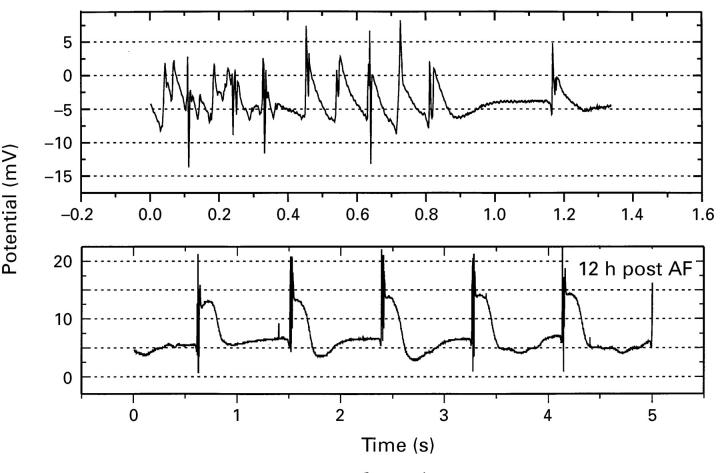 Figure 5  