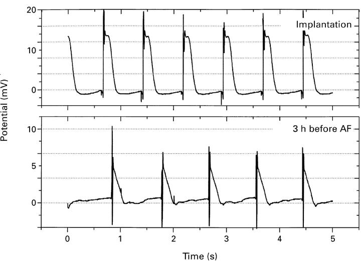 Figure 2  