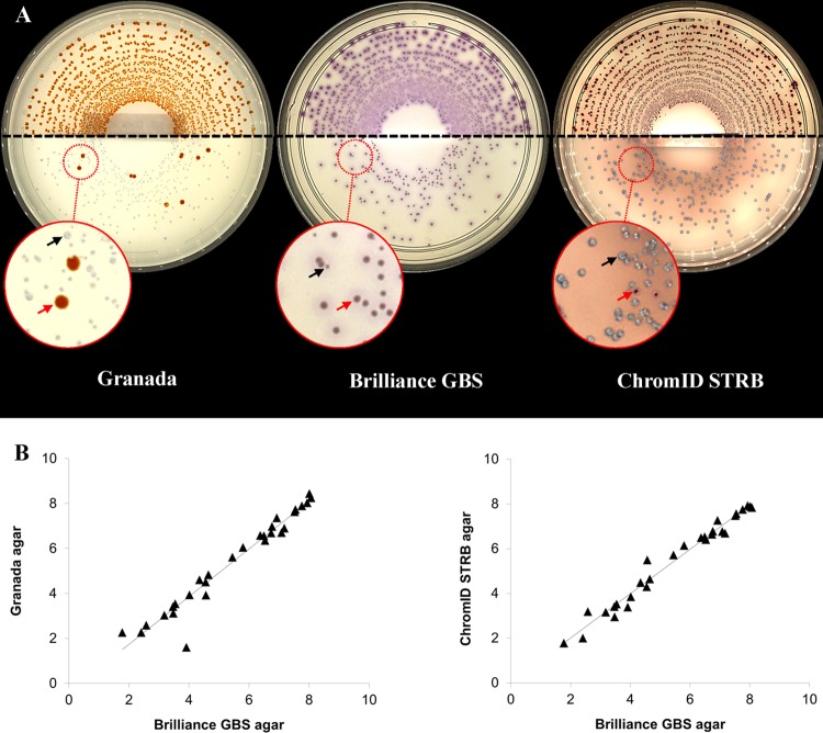 FIG 1