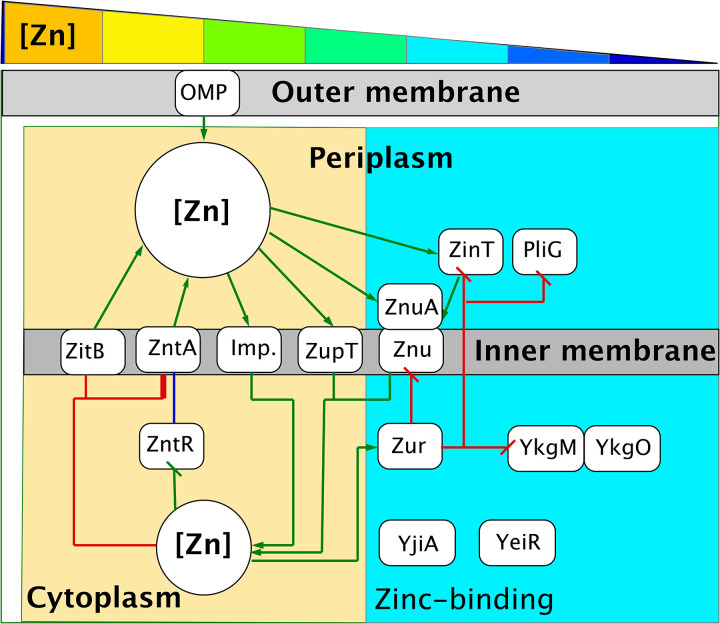 FIG 2