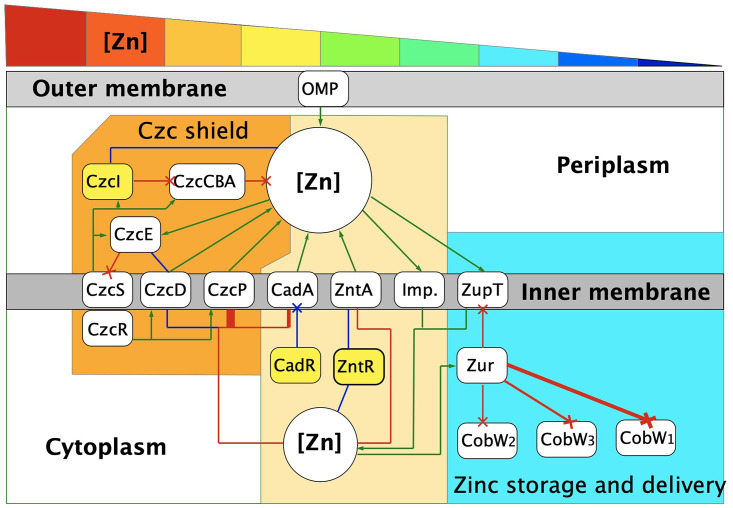 FIG 1