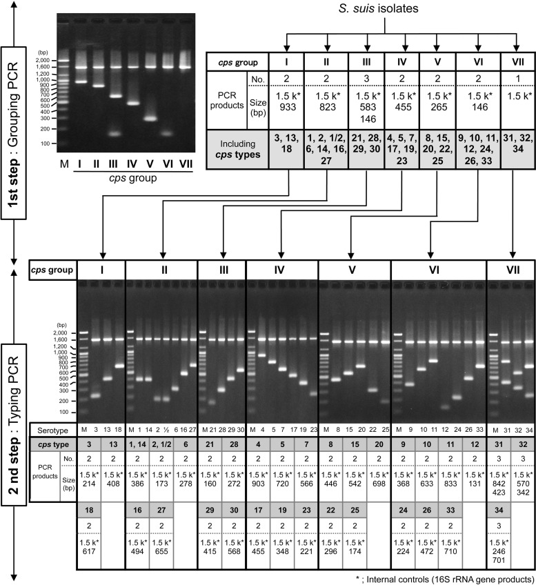 FIG 1