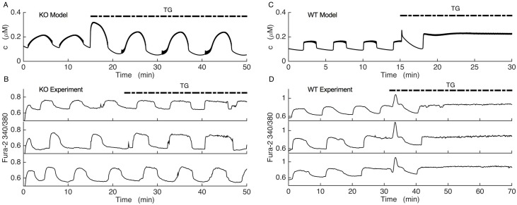 Fig 11