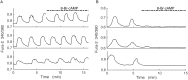 Fig 7