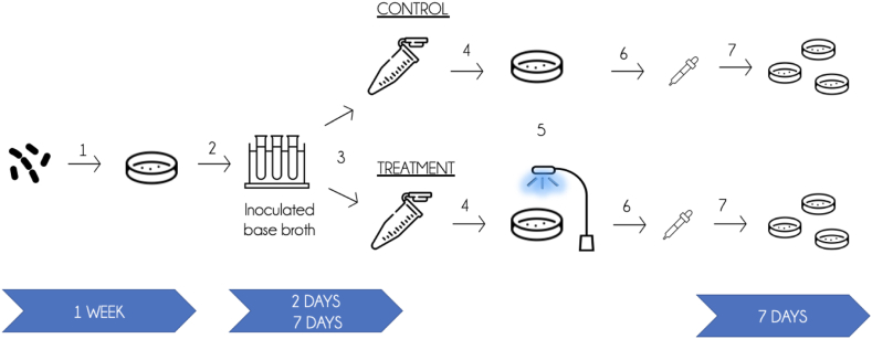 Figure 3