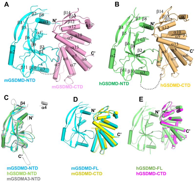 Figure 1.