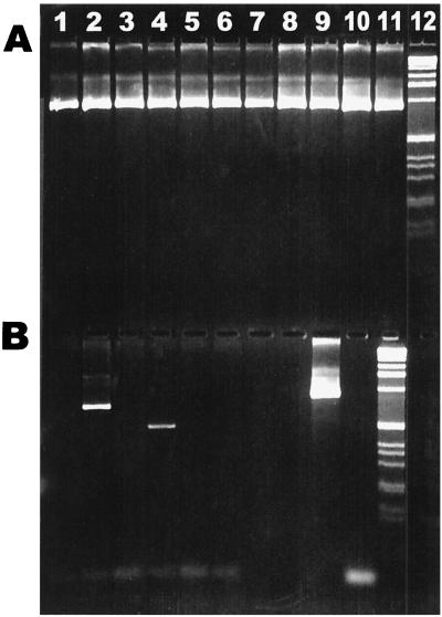 FIG. 6