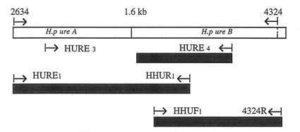 FIG. 1